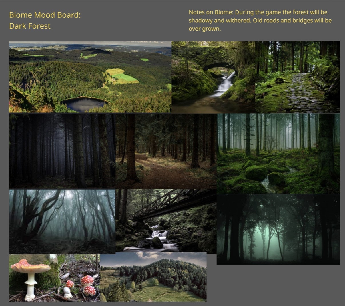 Biome Board Forest-min